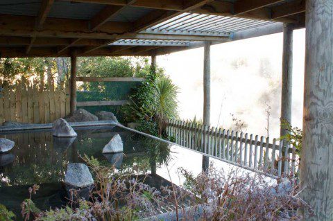 Waikite Pool