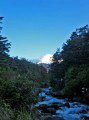 Whakapapanui River