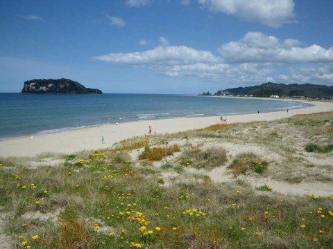 Whangamata beach