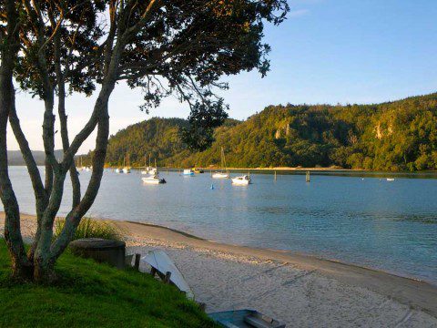 Whangamata Harbour