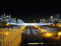 Xmas Lights