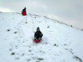 Sledging