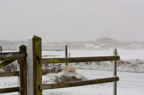 Snow