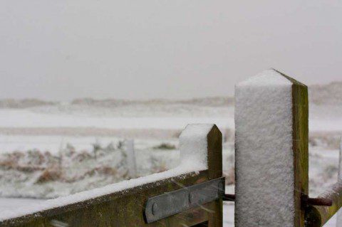 A Snowy Post