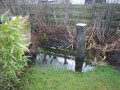 More extensive water feature than usual