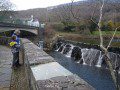 Cwm Rheidol