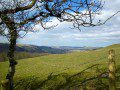 Cwm Rheidol View