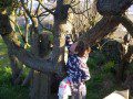 Easter Egg Hunt