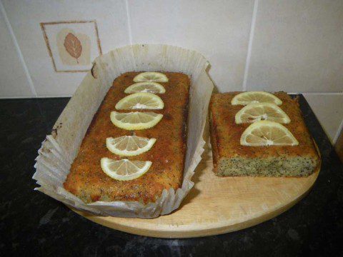 Lemon and Poppy Seed Cakes