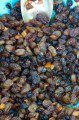 Sticky Mixed Fruit