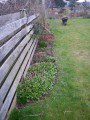 Spring Tidying