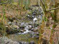 Afon Cwmere
