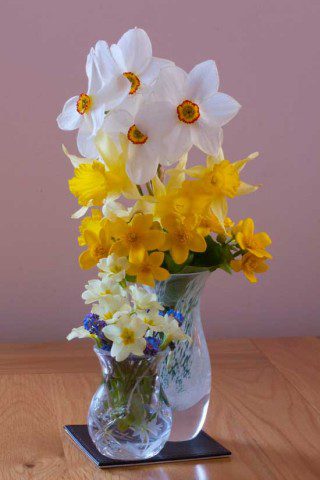 Spring Flower Arrangement