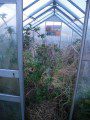 Impenetrable Greenhouse