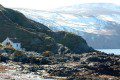 Niarbyl