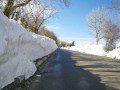 Snow Lined Roads