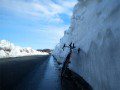 A Snowy Ride