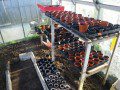 Pots of Potential
