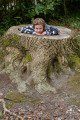 Stumped!