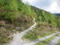 Dry, Dusty Trails