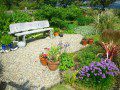 Garden in June