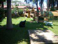 Cat Sanctuary