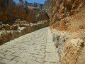 Cobbled Street