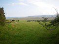 Above Borth Bog