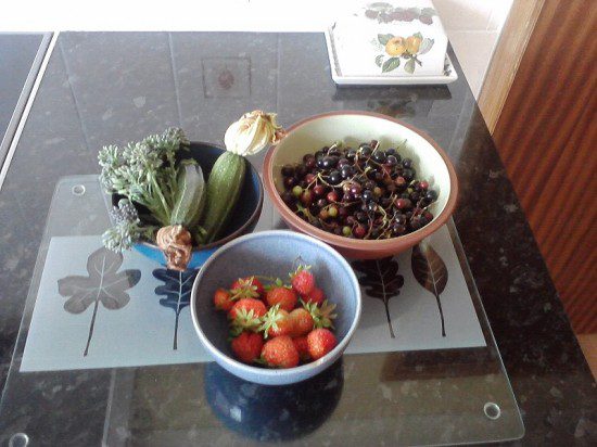 Garden Produce