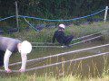 Ropes