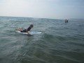 Playing in the sea