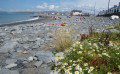 Sunny Borth