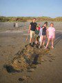 Beach Art