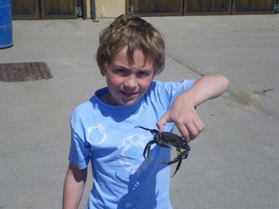 Crabbing