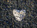 Scout Leader Beach Art