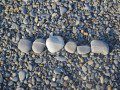 Pebble Art