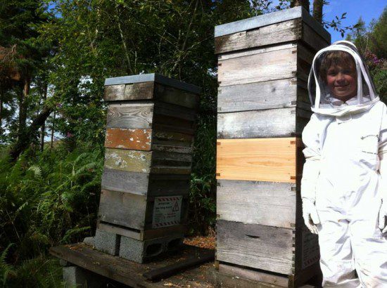 Hives