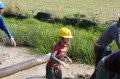 Log Dip