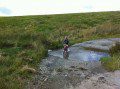 Through the Ford