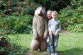 Bears