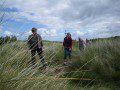 Dune Strolling