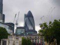 Gherkin