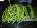More Garden Produce