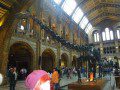 Natural History Museum