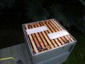Varroa Treatment