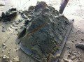 Worm Burrow