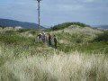 Ynyslas Foraging