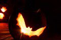Bat Pumpkin