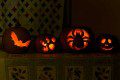 Pumpkin Carvings