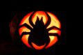 Spider Pumpkin